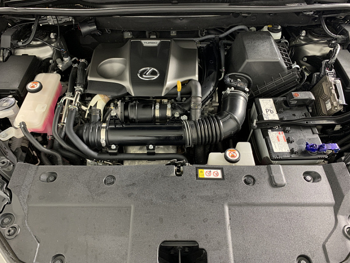 LEXUS NX 2, 2019 года, Автоматическая, Серебристо-желтый