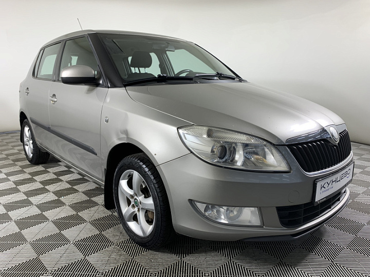 Skoda Fabia 1.6, 2010 года, Автоматическая, СЕРЫЙ
