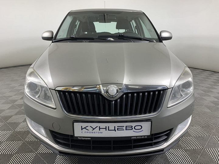 Skoda Fabia 1.6, 2010 года, Автоматическая, СЕРЫЙ