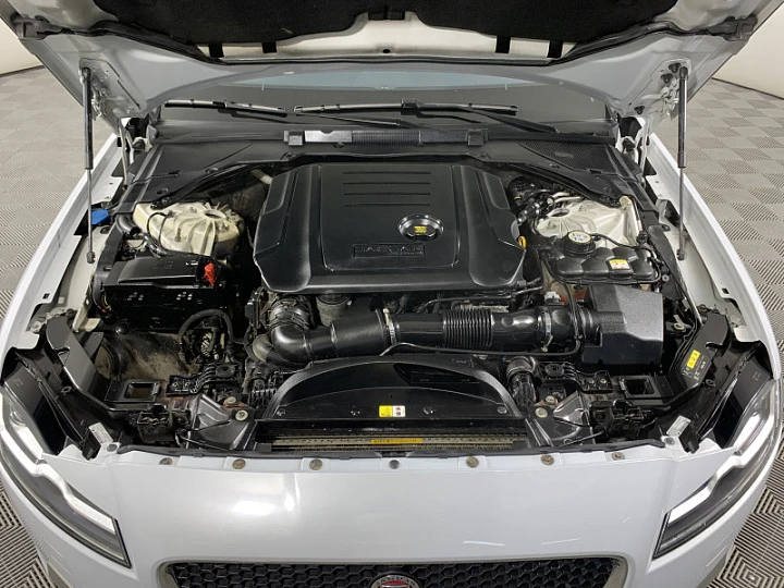 ��� ��������� ����� XF ����� �����?